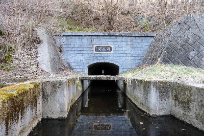 Photo from 2025/3/23