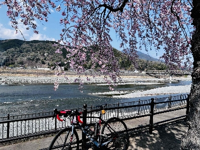 Photo from 2026/3/29