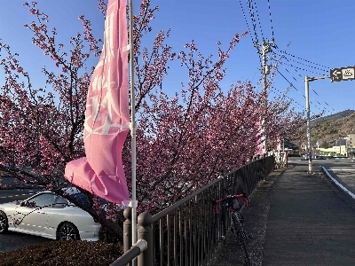 Photo from 2026/1/17