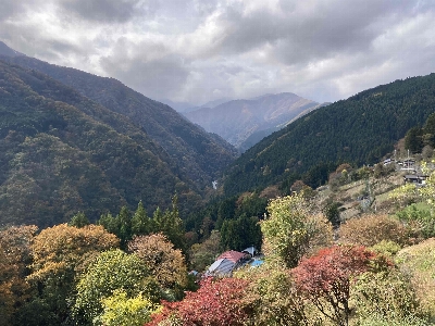 Photo from 2024/11/10