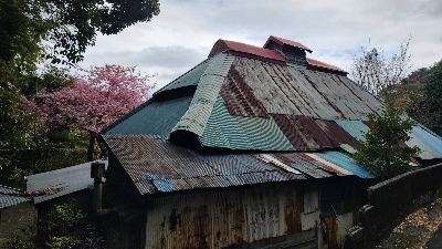 Photo from 2024/2/17