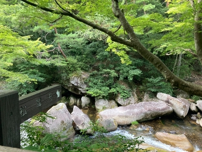 Photo from 2023/7/30