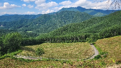 Photo from 2024/7/20