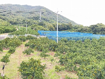 Photo from 2024/10/31