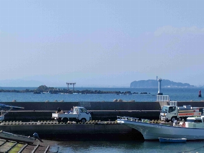 Photo from 2025/3/21