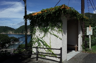 Photo from 2024/9/15