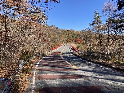 Photo from 2023/11/3