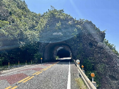 Photo from 2025/6/22