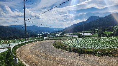 Photo from 2024/7/20