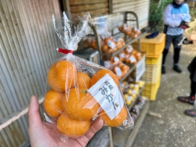 Photo from 2025/1/18