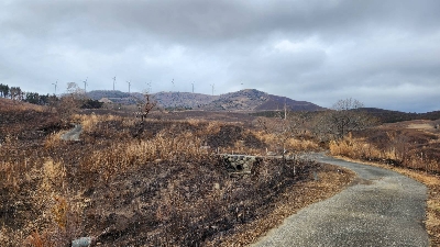 Photo from 2024/2/17