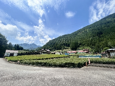 Photo from 2024/7/21