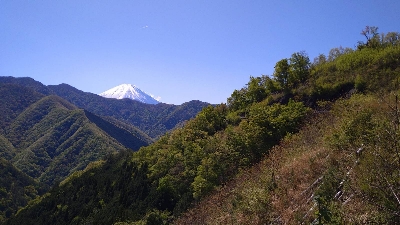 Photo from 2021/4/26