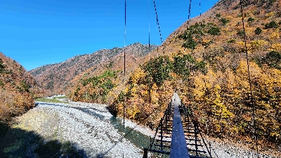 Photo from 2024/11/21