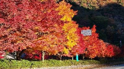 Photo from 2025/11/16