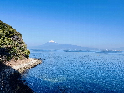 Photo from 2026/1/17