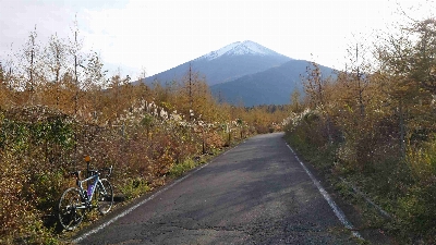 Photo from 2025/11/7