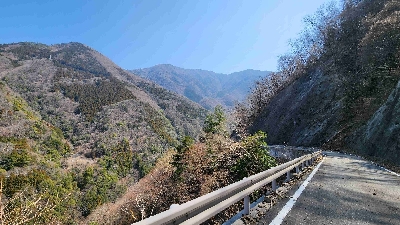 Photo from 2024/3/16