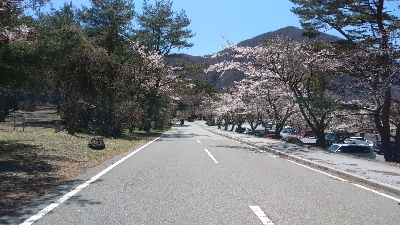 Photo from 2020/4/19