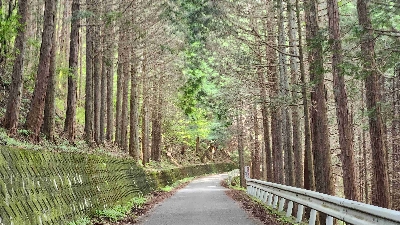 Photo from 2024/8/13