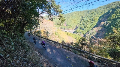 Photo from 2023/12/3