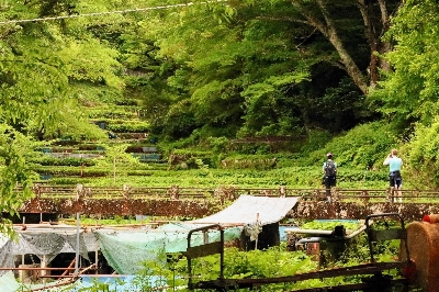 Photo from 2024/5/12