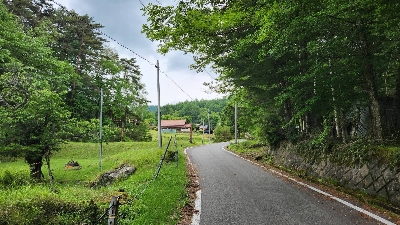 Photo from 2023/6/10