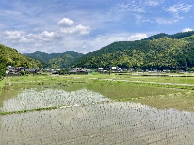 Photo from 2024/6/22