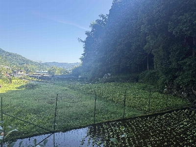 Photo from 2025/8/14