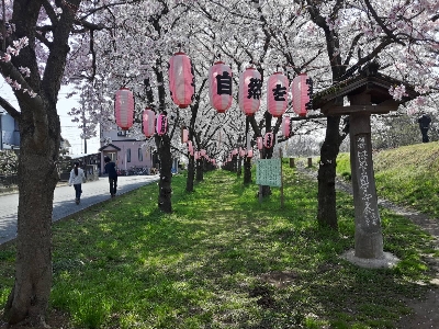 Photo from 2018/3/29