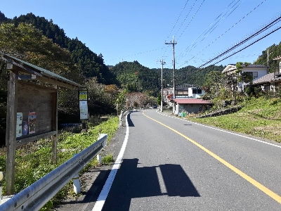 Photo from 2017/11/3