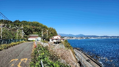 Photo from 2023/11/19