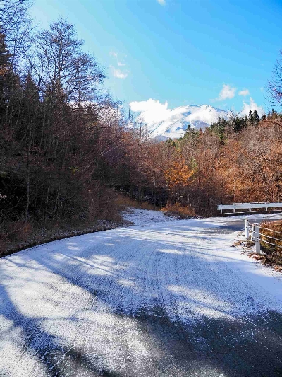 Photo from 2024/11/24