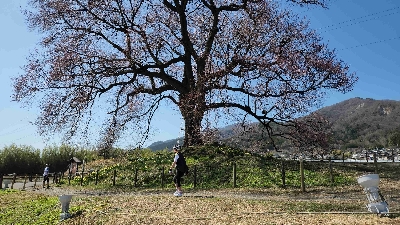 Photo from 2024/3/31