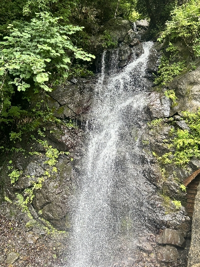 Photo from 2024/7/21