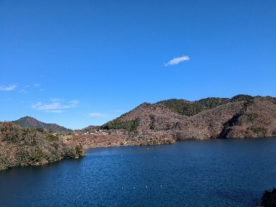 Photo from 2024/12/14