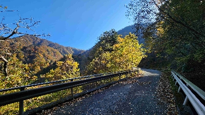 Photo from 2025/11/7