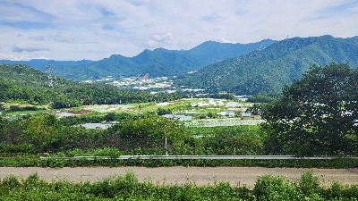 Photo from 2024/7/20