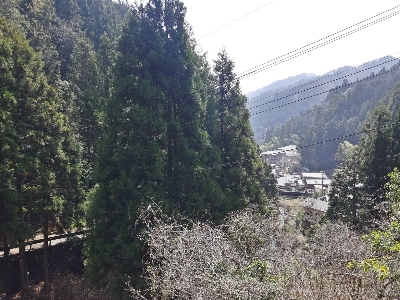 Photo from 2018/3/29