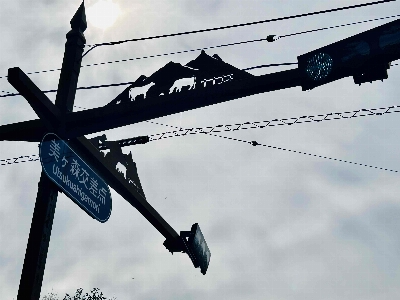 Photo from 2025/10/12