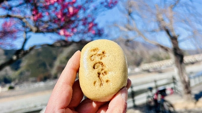 Photo from 2026/2/15