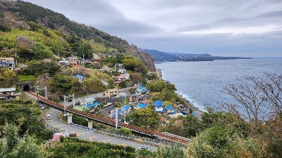 Photo from 2024/2/17