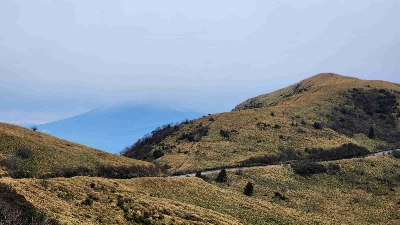 Photo from 2025/12/3