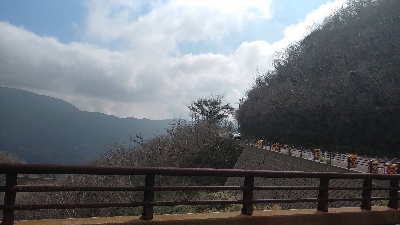 Photo from 2018/8/10