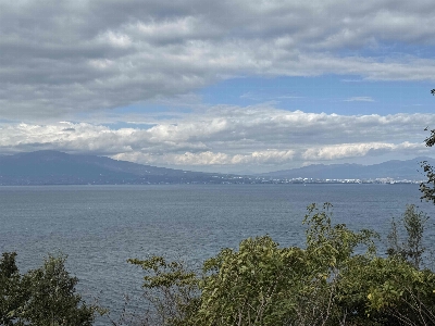 Photo from 2024/11/3