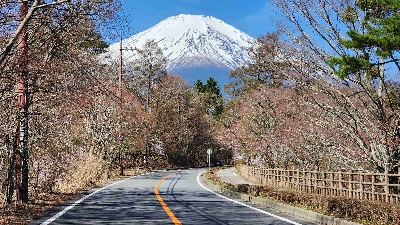 Photo from 2026/4/14