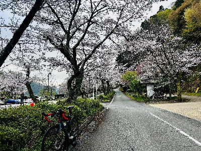 Photo from 2026/3/27