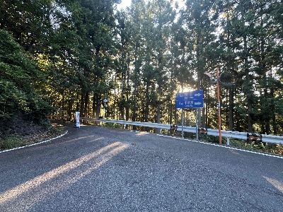 Photo from 2025/7/26