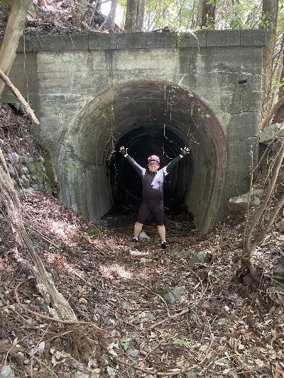 Thumbnail for 54729