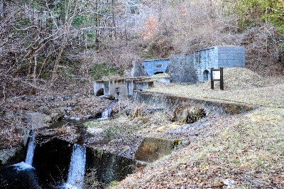 Photo from 2025/3/23